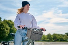 1818050 FILCOWA TORBA TERMICZNA LUNCHBAG HALFAR SOFTBASKET 6