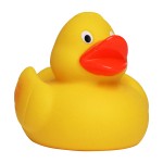 M131022 mbw piszcząca kaczka 5