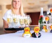 M131029 mbw Schnabels Pan Młody M131034 mbw Schnabels Panna Młoda