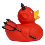 M131037 mbw Schnabels kaczka diabełek czerwona 4