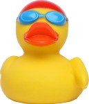 M131082 mbw Schnabels kaczka pływak 1