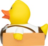 M131246 MBW kaczka stolarz 3