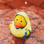 M131289 MBW kaczka z parasolem 9