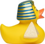 M132085 mbw Schnabels kaczka Faraon 5