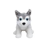 M160413 mbw Pies husky Harri 1
