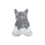 M160413 mbw Pies husky Harri 4