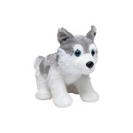 M160413 mbw Pies husky Harri 6