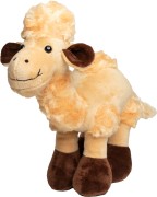 M160419 mbw Wielbłąd Amira 1