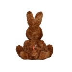 M160621 mbw Królik Lina 3