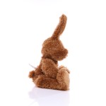 M160621 mbw Królik Lina 6