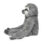 M160818 mbw Leniwiec Hektor 3