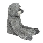 M160818 mbw Leniwiec Hektor 5