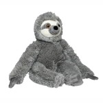 M160818 mbw Leniwiec Hektor 6