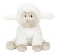 M160819 mbw Owieczka Tede 1