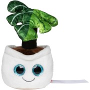 M160846 Mbw Monstera Schmoozies 1