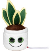 M160848 Mbw Sansevieria Schmoozies 1