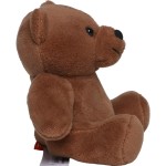 M160968 mbw Niedźwiedź Maik ciemnobrązowy 6